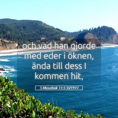 Picture 05 - 5 Mosebok 11:5 SV1917 - och vad han gjorde med eder i öknen, ända till - Bible Verse Picture