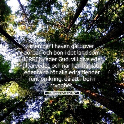 Picture 05 - 5 Mosebok 12:10 SV1917 - Men när I haven gått över Jordan och bon i det - Bible Verse Picture