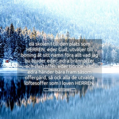 Picture 05 - 5 Mosebok 12:11 SV1917 - då skolen I till den plats som HERREN, eder Gud, - Bible Verse Picture