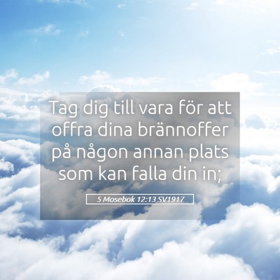 Picture 05 - 5 Mosebok 12:13 SV1917 - Tag dig till vara för att offra dina brännoffer - Bible Verse Picture