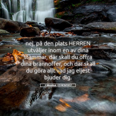 Picture 05 - 5 Mosebok 12:14 SV1917 - nej, på den plats HERREN utväljer inom en av - Bible Verse Picture