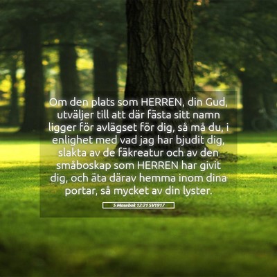 Picture 05 - 5 Mosebok 12:21 SV1917 - Om den plats som HERREN, din Gud, utväljer till - Bible Verse Picture