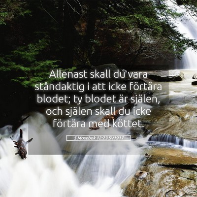 Picture 05 - 5 Mosebok 12:23 SV1917 - Allenast skall du vara ståndaktig i att icke - Bible Verse Picture