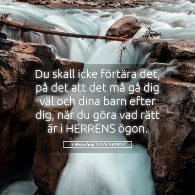 Picture 05 - 5 Mosebok 12:25 SV1917 - Du skall icke förtära det, på det att det må - Bible Verse Picture