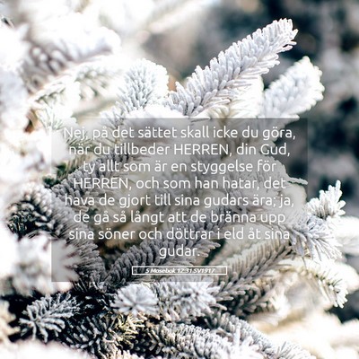 Picture 05 - 5 Mosebok 12:31 SV1917 - Nej, på det sättet skall icke du göra, när du - Bible Verse Picture