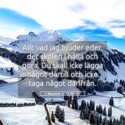 Picture 05 - 5 Mosebok 12:32 SV1917 - Allt vad jag bjuder eder, det skolen I hålla och - Bible Verse Picture