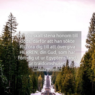 Picture 05 - 5 Mosebok 13:10 SV1917 - Och du skall stena honom till döds, därför att - Bible Verse Picture