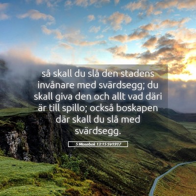 Picture 05 - 5 Mosebok 13:15 SV1917 - så skall du slå den stadens invånare med - Bible Verse Picture