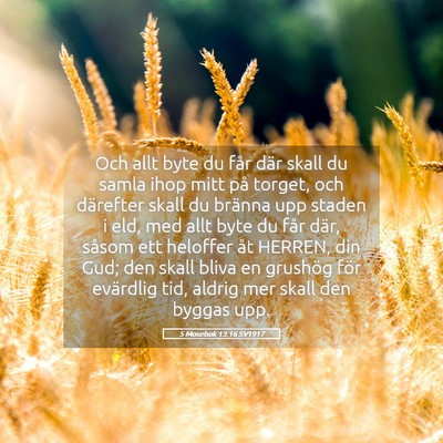 Picture 05 - 5 Mosebok 13:16 SV1917 - Och allt byte du får där skall du samla ihop - Bible Verse Picture