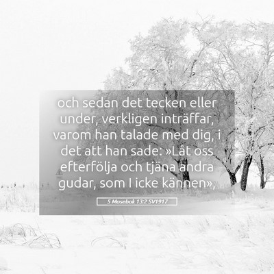 Picture 05 - 5 Mosebok 13:2 SV1917 - och sedan det tecken eller under, verkligen - Bible Verse Picture