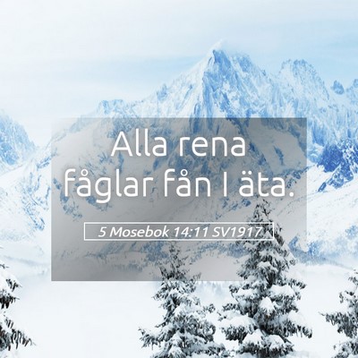 Picture 05 - 5 Mosebok 14:11 SV1917 - Alla rena fåglar fån I - Bible Verse Picture