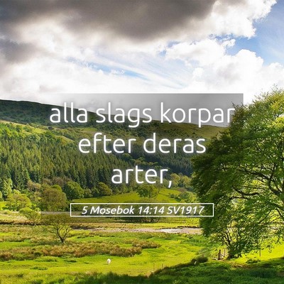 Picture 05 - 5 Mosebok 14:14 SV1917 - alla slags korpar efter deras - Bible Verse Picture