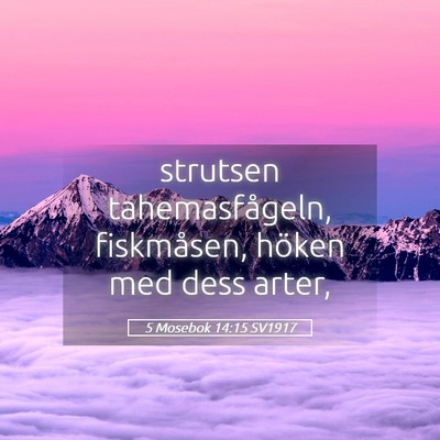 Picture 05 - 5 Mosebok 14:15 SV1917 - strutsen tahemasfågeln, fiskmåsen, höken med - Bible Verse Picture