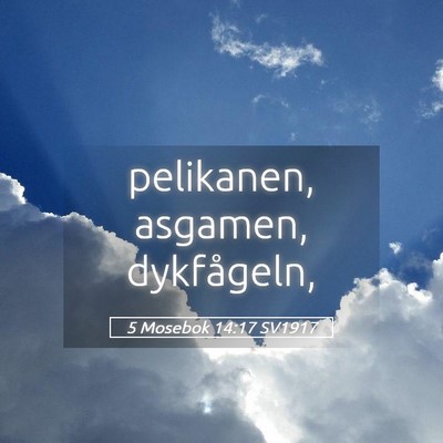 Picture 05 - 5 Mosebok 14:17 SV1917 - pelikanen, asgamen, - Bible Verse Picture