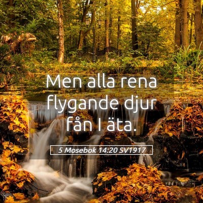 Picture 05 - 5 Mosebok 14:20 SV1917 - Men alla rena flygande djur fån I - Bible Verse Picture