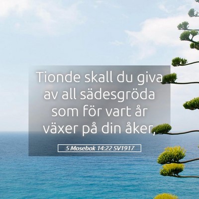 Picture 05 - 5 Mosebok 14:22 SV1917 - Tionde skall du giva av all sädesgröda som för - Bible Verse Picture