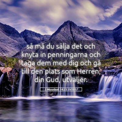 Picture 05 - 5 Mosebok 14:25 SV1917 - så må du sälja det och knyta in penningarna - Bible Verse Picture
