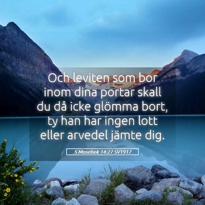 Picture 05 - 5 Mosebok 14:27 SV1917 - Och leviten som bor inom dina portar skall du då - Bible Verse Picture