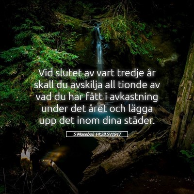 Picture 05 - 5 Mosebok 14:28 SV1917 - Vid slutet av vart tredje år skall du avskilja - Bible Verse Picture