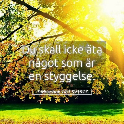 Picture 05 - 5 Mosebok 14:3 SV1917 - Du skall icke äta något som är en - Bible Verse Picture