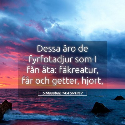 Picture 05 - 5 Mosebok 14:4 SV1917 - Dessa äro de fyrfotadjur som I fån äta: - Bible Verse Picture