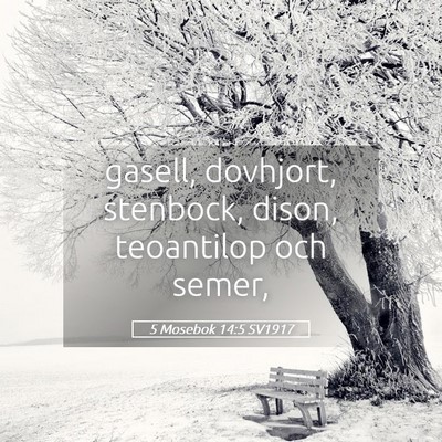 Picture 05 - 5 Mosebok 14:5 SV1917 - gasell, dovhjort, stenbock, dison, teoantilop och - Bible Verse Picture