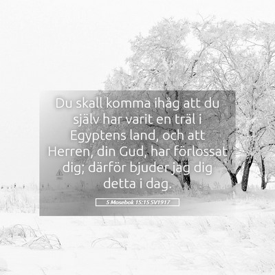 Picture 05 - 5 Mosebok 15:15 SV1917 - Du skall komma ihåg att du själv har varit en - Bible Verse Picture
