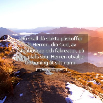 Picture 05 - 5 Mosebok 16:2 SV1917 - Du skall då slakta påskoffer åt Herren. din - Bible Verse Picture