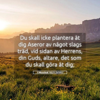 Picture 05 - 5 Mosebok 16:21 SV1917 - Du skall icke plantera åt dig Aseror av något - Bible Verse Picture