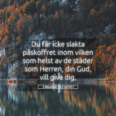 Picture 05 - 5 Mosebok 16:5 SV1917 - Du får icke slakta påskoffret inom vilken som - Bible Verse Picture