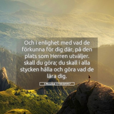 Picture 05 - 5 Mosebok 17:10 SV1917 - Och i enlighet med vad de förkunna för dig - Bible Verse Picture