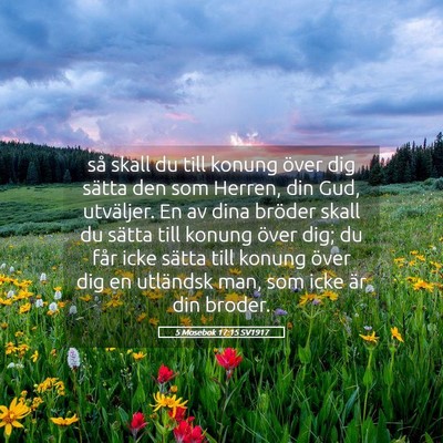 Picture 05 - 5 Mosebok 17:15 SV1917 - så skall du till konung över dig sätta den som - Bible Verse Picture