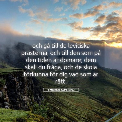 Picture 05 - 5 Mosebok 17:9 SV1917 - och gå till de levitiska prästerna, och till - Bible Verse Picture