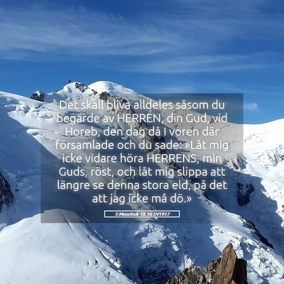 Picture 05 - 5 Mosebok 18:16 SV1917 - Det skall bliva alldeles såsom du begärde av - Bible Verse Picture
