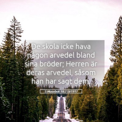 Picture 05 - 5 Mosebok 18:2 SV1917 - De skola icke hava någon arvedel bland sina - Bible Verse Picture