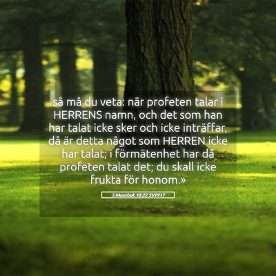 Picture 05 - 5 Mosebok 18:22 SV1917 - så må du veta: när profeten talar i HERRENS - Bible Verse Picture