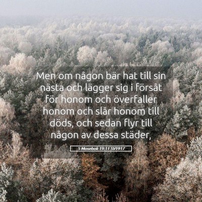 Picture 05 - 5 Mosebok 19:11 SV1917 - Men om någon bär hat till sin nästa och - Bible Verse Picture