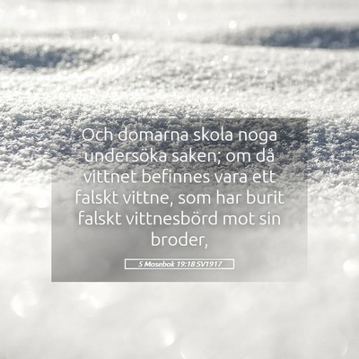 Picture 05 - 5 Mosebok 19:18 SV1917 - Och domarna skola noga undersöka saken; om då - Bible Verse Picture