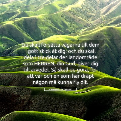 Picture 05 - 5 Mosebok 19:3 SV1917 - Du skall försätta vägarna till dem i gott - Bible Verse Picture