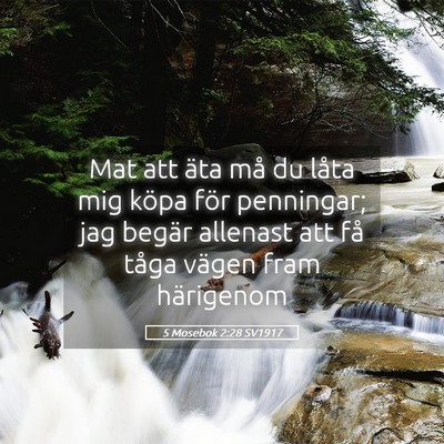 Picture 05 - 5 Mosebok 2:28 SV1917 - Mat att äta må du låta mig köpa för - Bible Verse Picture