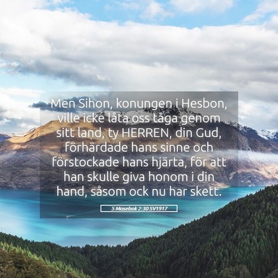 Picture 05 - 5 Mosebok 2:30 SV1917 - Men Sihon, konungen i Hesbon, ville icke låta - Bible Verse Picture