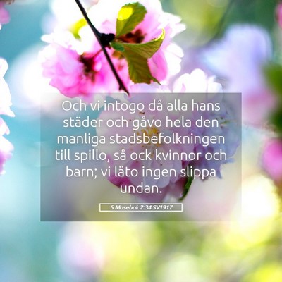Picture 05 - 5 Mosebok 2:34 SV1917 - Och vi intogo då alla hans städer och gåvo - Bible Verse Picture
