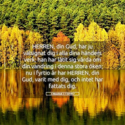 Picture 05 - 5 Mosebok 2:7 SV1917 - HERREN, din Gud, har ju välsignat dig i alla - Bible Verse Picture