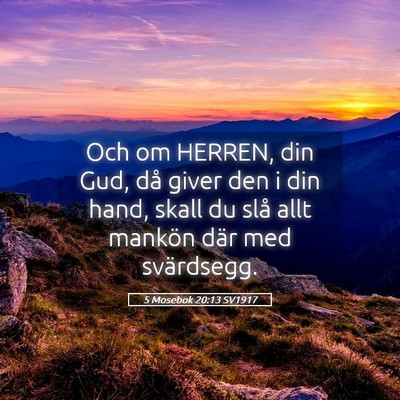 Picture 05 - 5 Mosebok 20:13 SV1917 - Och om HERREN, din Gud, då giver den i din hand, - Bible Verse Picture