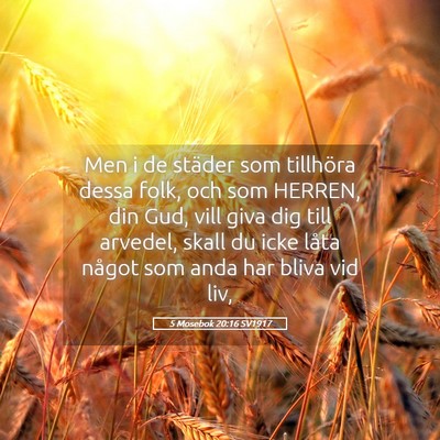 Picture 05 - 5 Mosebok 20:16 SV1917 - Men i de städer som tillhöra dessa folk, och - Bible Verse Picture