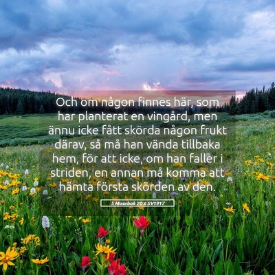 Picture 05 - 5 Mosebok 20:6 SV1917 - Och om någon finnes här, som har planterat en - Bible Verse Picture