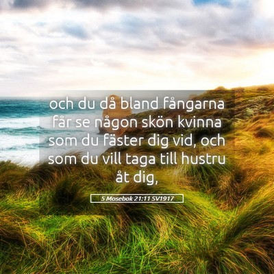 Picture 05 - 5 Mosebok 21:11 SV1917 - och du då bland fångarna får se någon skön - Bible Verse Picture