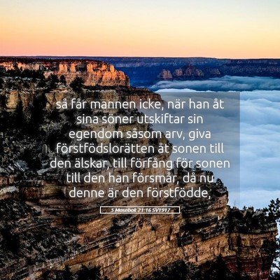 Picture 05 - 5 Mosebok 21:16 SV1917 - så får mannen icke, när han åt sina söner - Bible Verse Picture