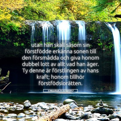 Picture 05 - 5 Mosebok 21:17 SV1917 - utan han skall såsom sin förstfödde erkänna - Bible Verse Picture