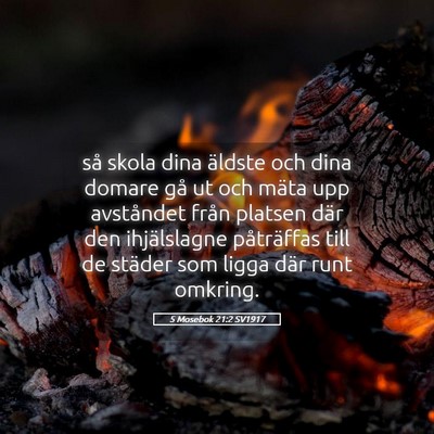 Picture 05 - 5 Mosebok 21:2 SV1917 - så skola dina äldste och dina domare gå ut och - Bible Verse Picture